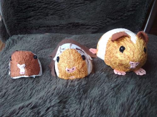The three attempts at making the guinea pig. The first one is really squished looking. The second's a bit better, and the third is complete and actually looks like a guinea pig.