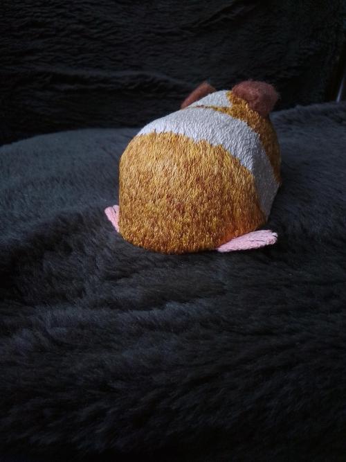 A back view of the guinea pig. I feel it's the most realistic-looking, unfortunately.
