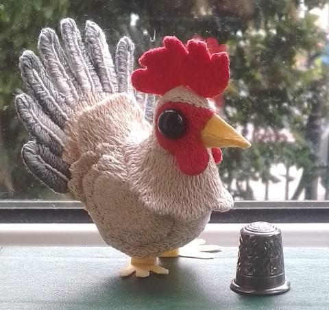 A white cockerel with grey tail feathers and red crest stands beside a thimble (which is about a third of its height)