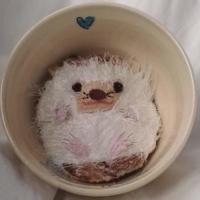 Image of the hedgehog, white belly up and facing the viewer, nestled inside a small bowl.