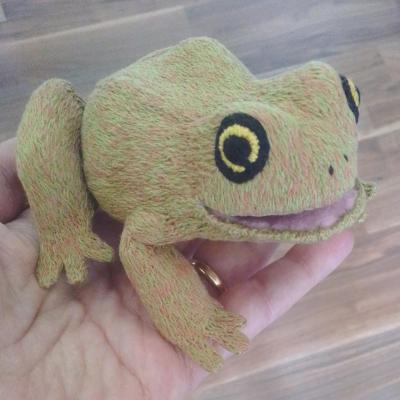 A greenish-brown toad with big eyes is sitting on my hand